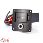 پیکاپ گیتار فیشمن