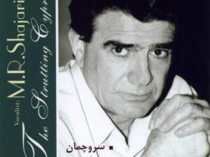 بی کلام سرو چمان
