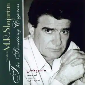 بی کلام سرو چمان