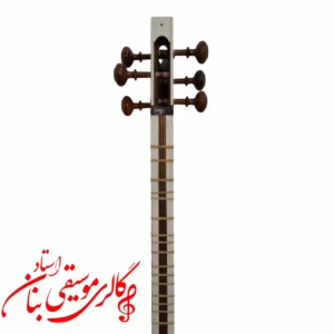 تار توکل علی یاری در مشهد