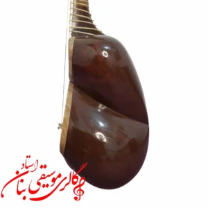 تار توکل علی یاری در مشهد