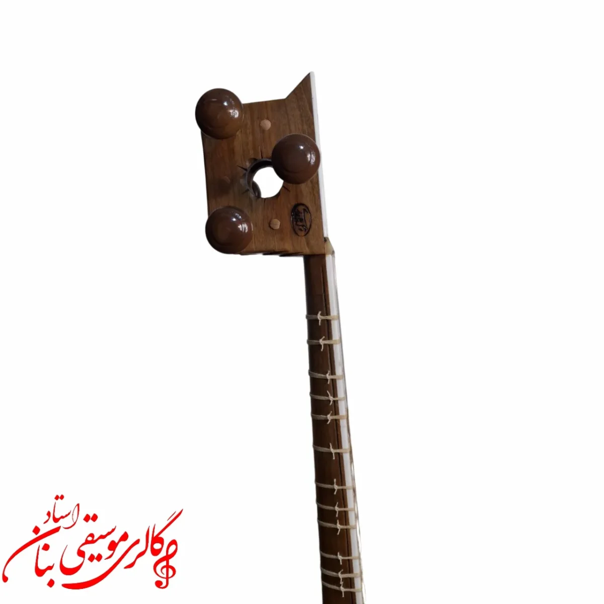 تار توکل علی یاری دومهر در مشهد