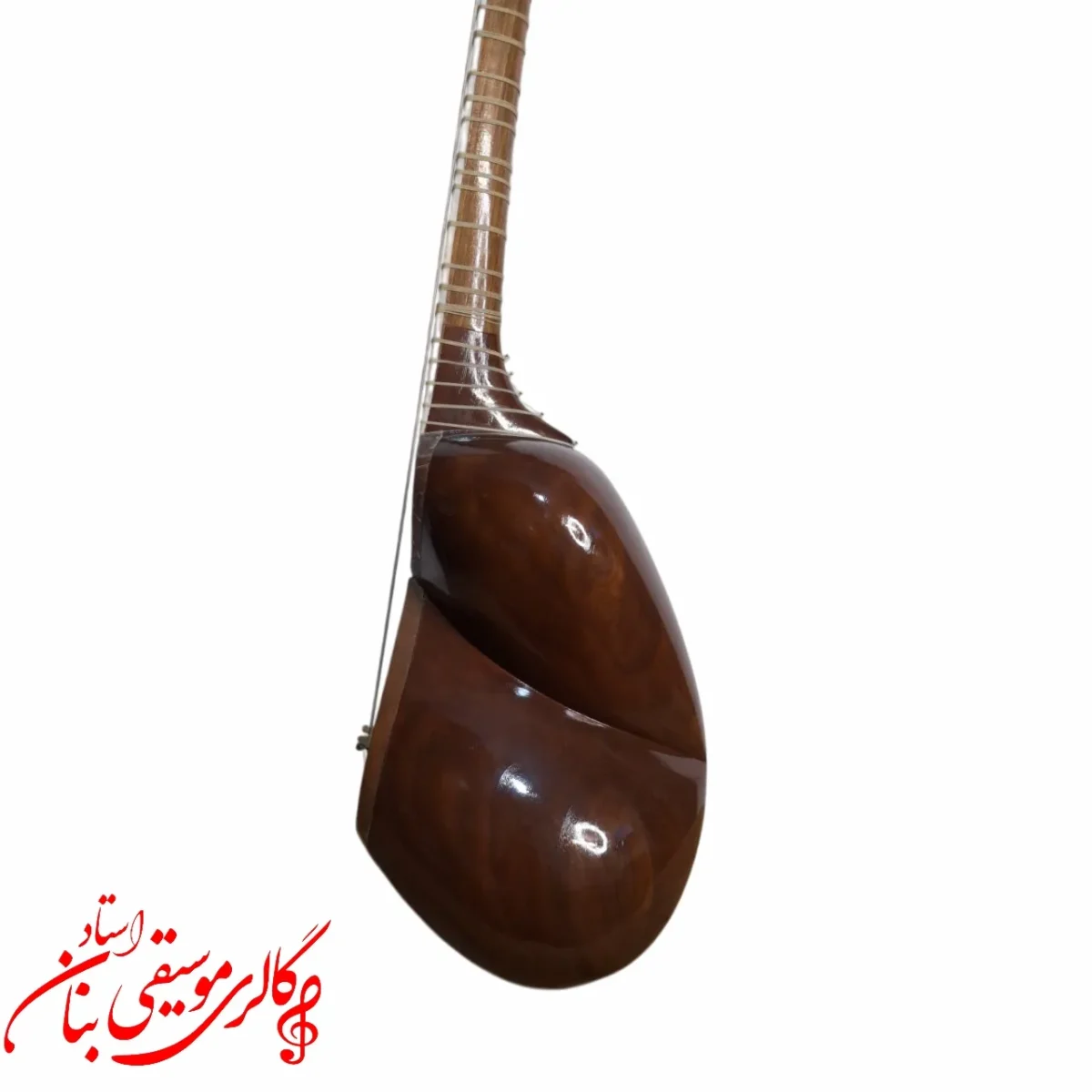 تار توکل علی یاری دومهر در مشهد