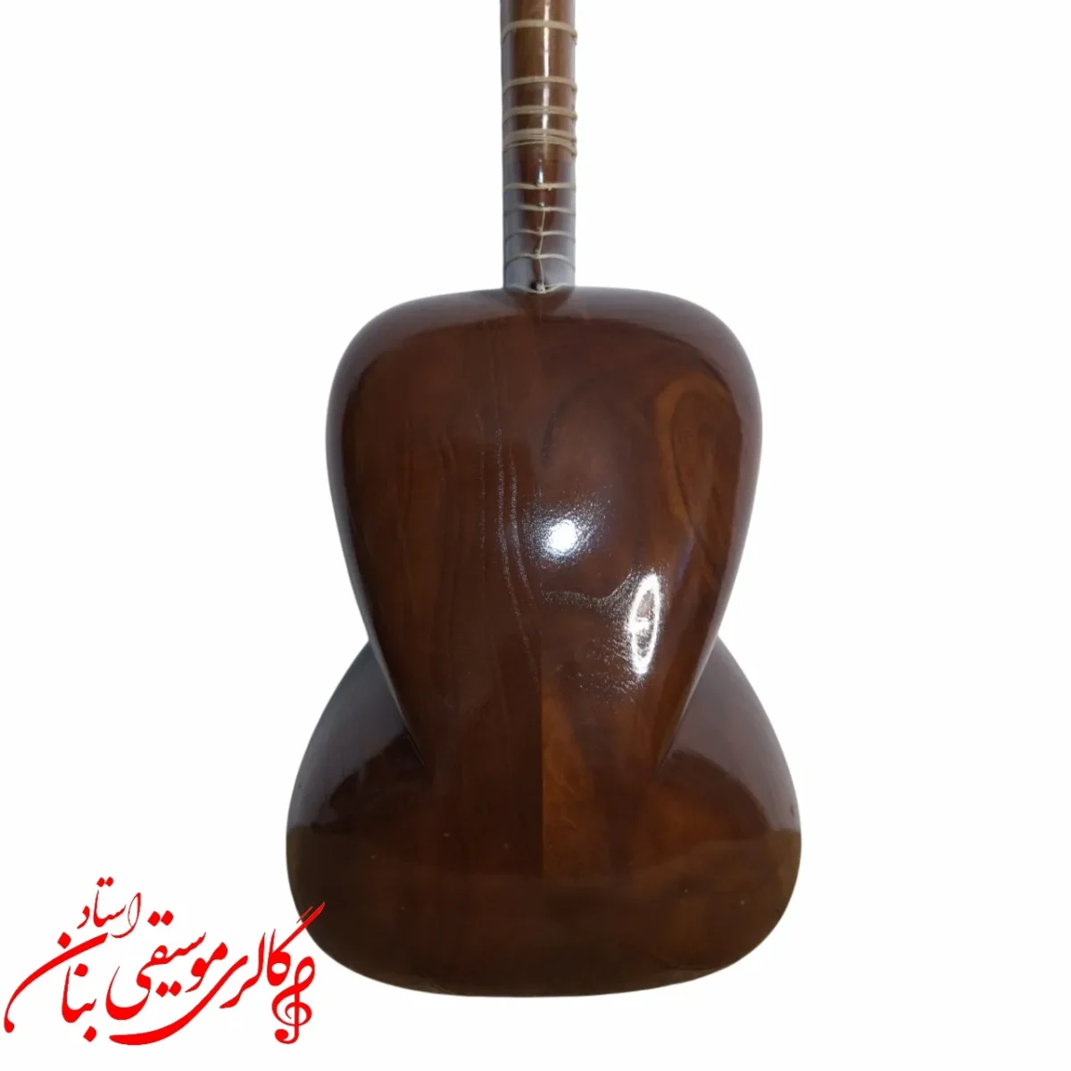 تار توکل علی یاری دومهر در مشهد