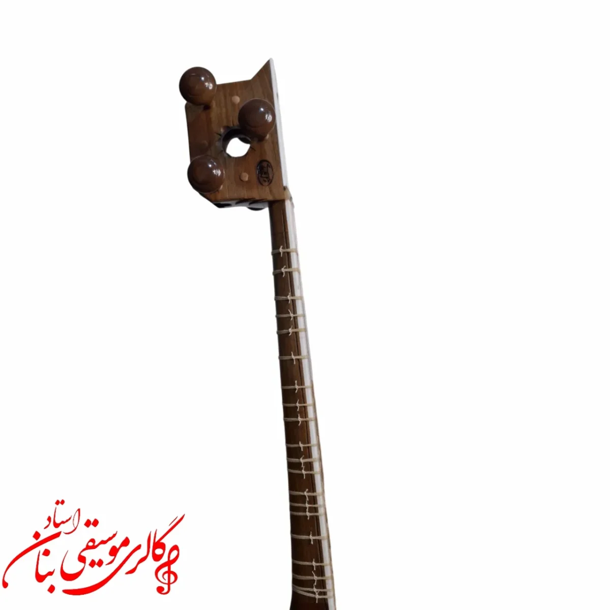 تار توکل علی یاری دومهر در مشهد