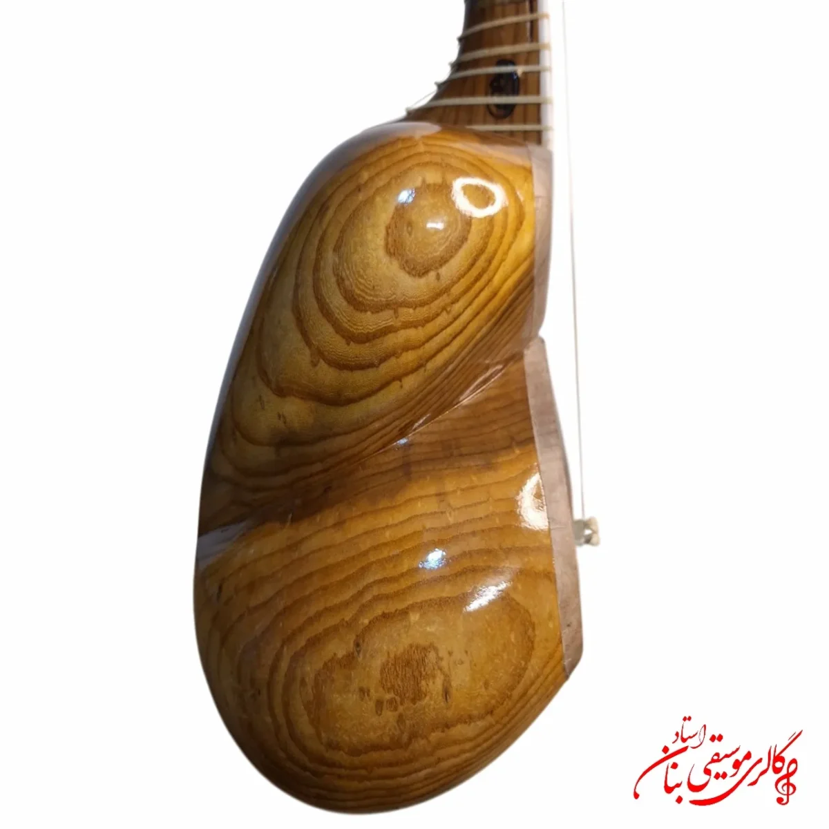 تار توکل علیاری دو مهر ویژه در مشهد