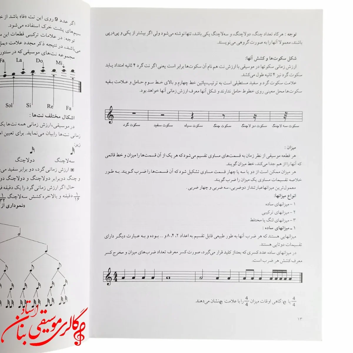 کتاب شیوه سنتور نوازی پشنگ کامکار در مشهد
