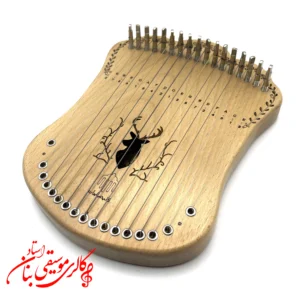 هارپیکا حفره گوزن همراه با دو سال گارانتی+ هاردکیس