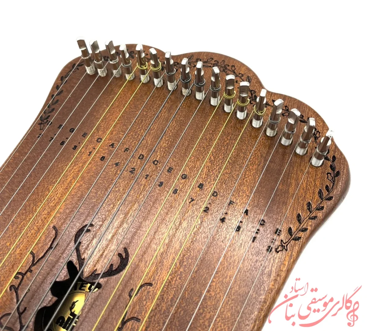 هارپیکا حفره گوزن همراه با دو سال گارانتی+ هاردکیس