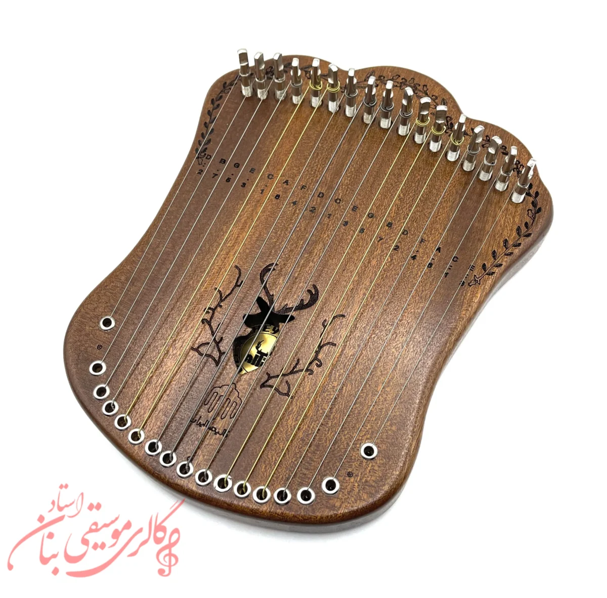 هارپیکا حفره گوزن همراه با دو سال گارانتی+ هاردکیس