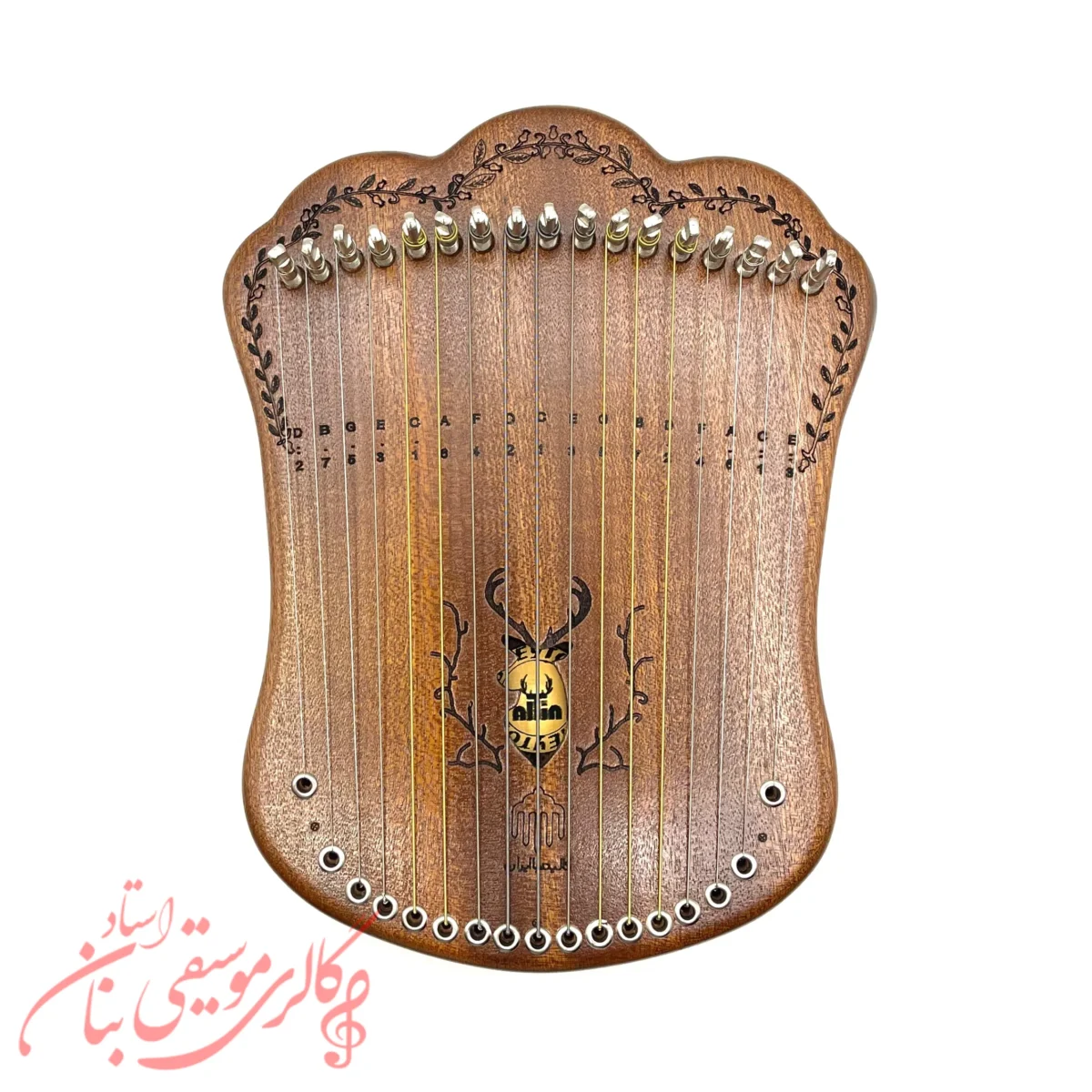 هارپیکا حفره گوزن همراه با دو سال گارانتی+ هاردکیس