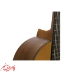 گیتار کلاسیک پارسی مدل M2