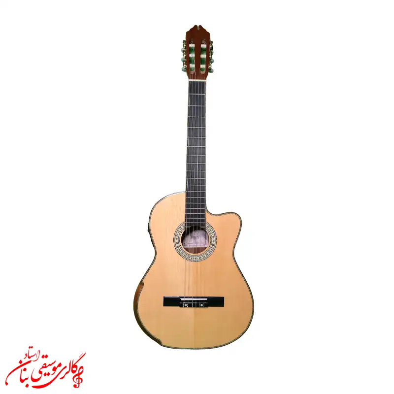 گیتار الکتروآکوستیک سلاریس